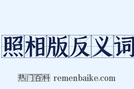照相版反义词是什么意思的图片